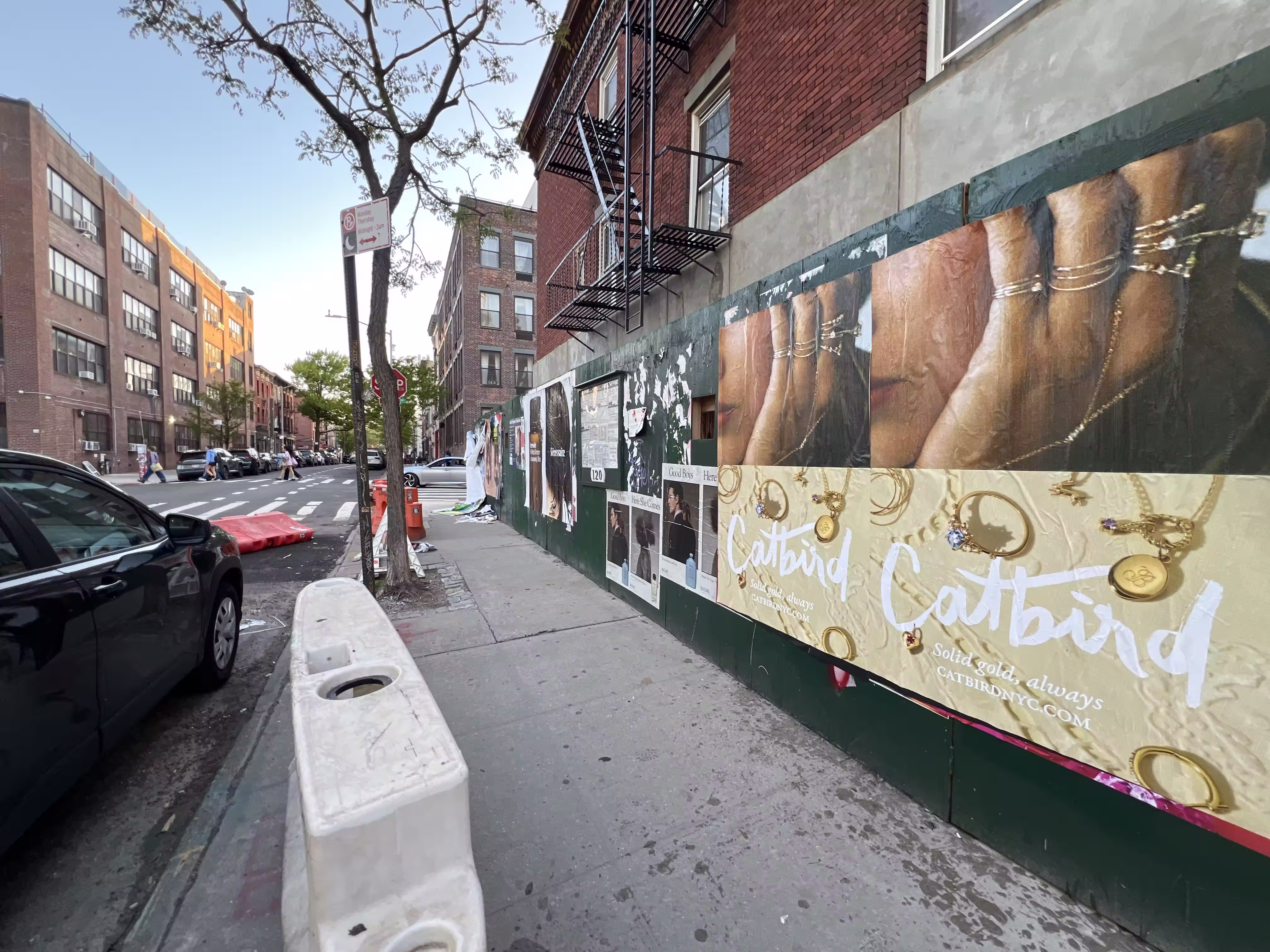 Catbird Mother's Day wild posting at 120 Wythe Ave