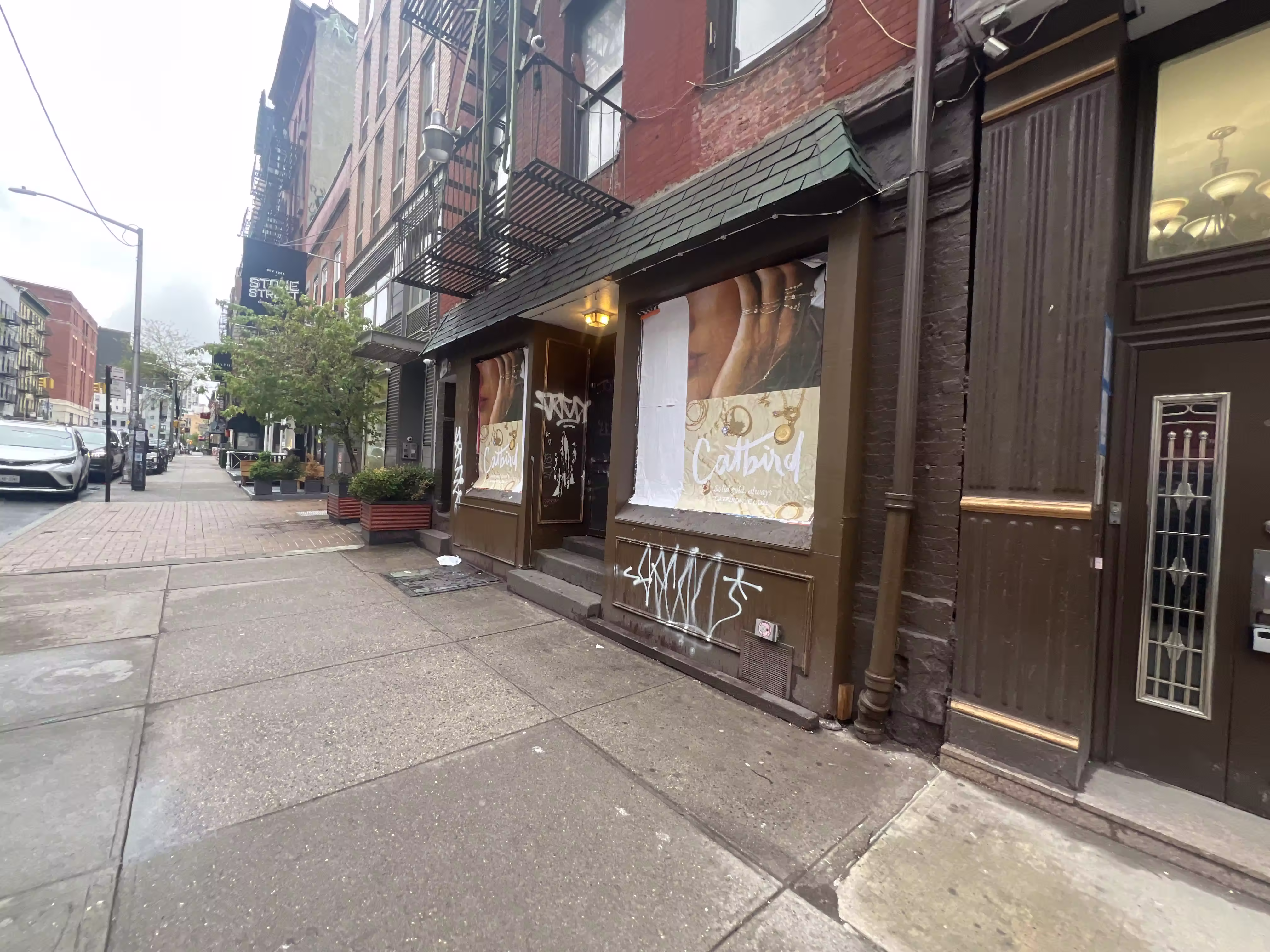 Catbird Mother's Day wild posting at 168 Grand St — Location 1