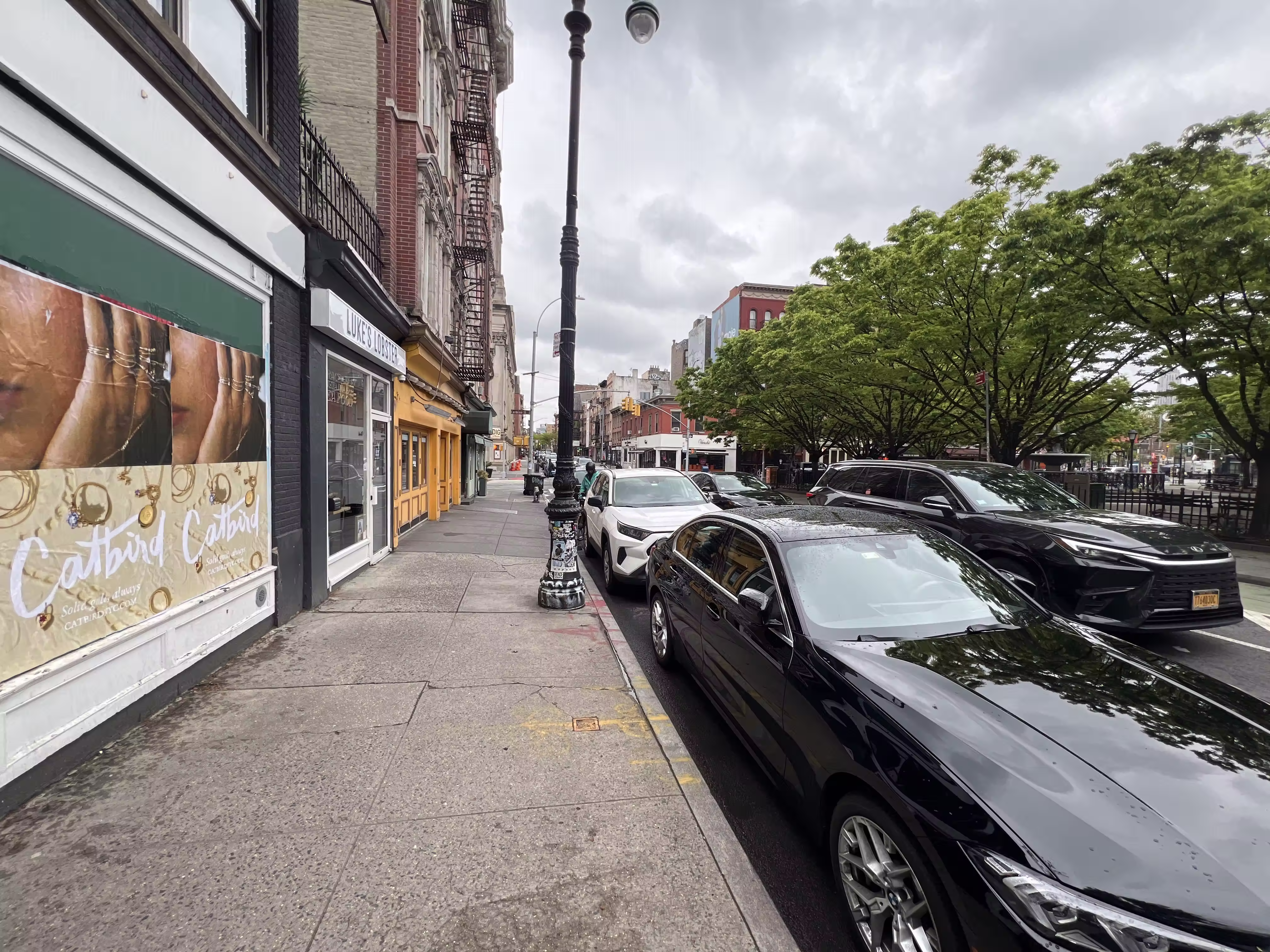 Catbird Mother's Day wild posting at Father Demo Square — 220 Bleecker St