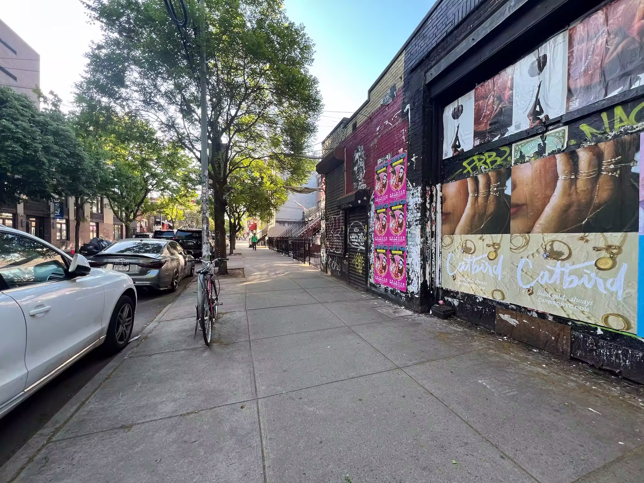 Catbird Mother's Day Week 2 wild posting at 116 N 5th St