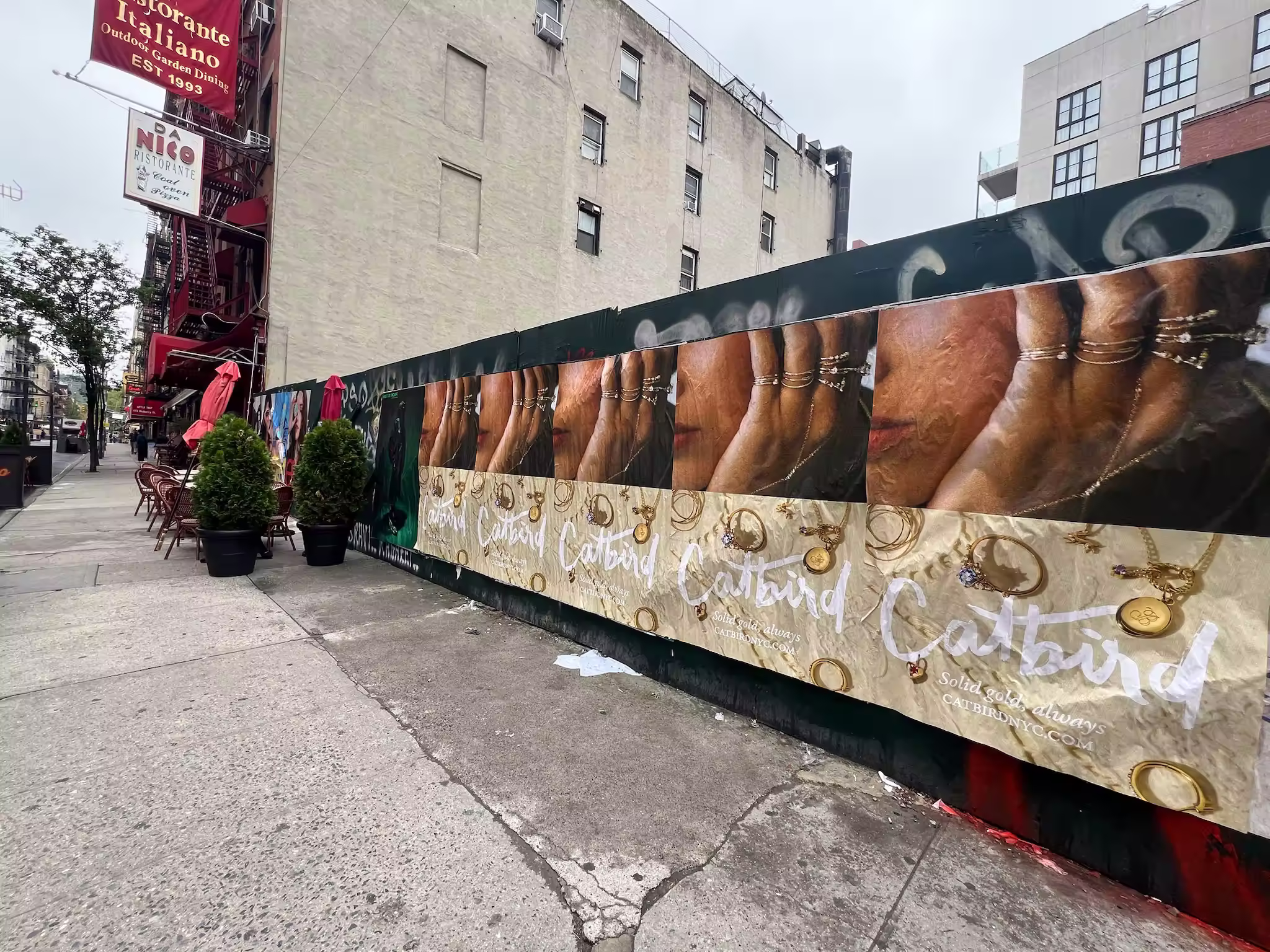 Catbird Mother's Day Week 2 wild posting at 156 Mulberry St