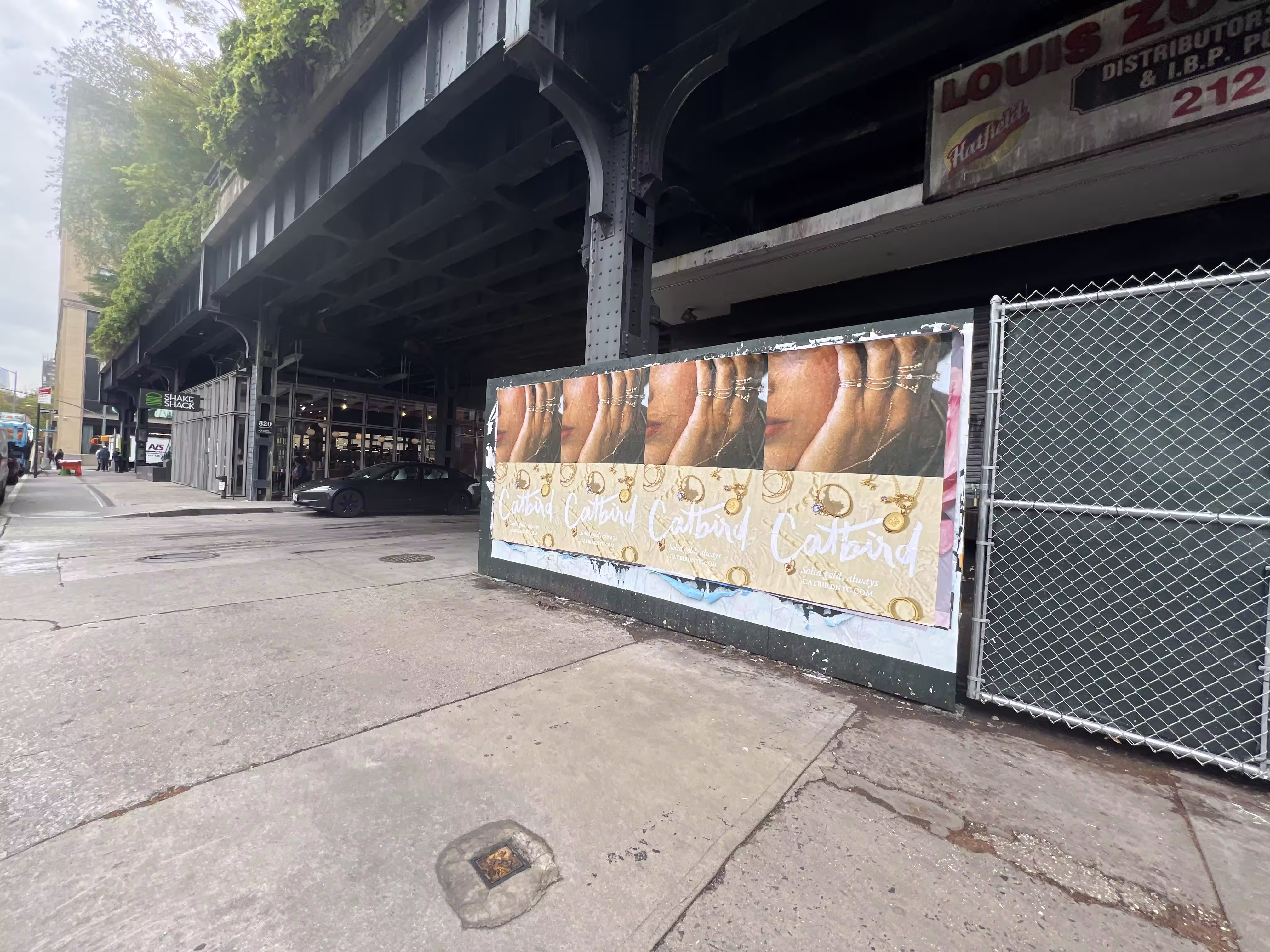 Catbird Mother's Day Week 2 wild posting at 828 Washington St — Location 2