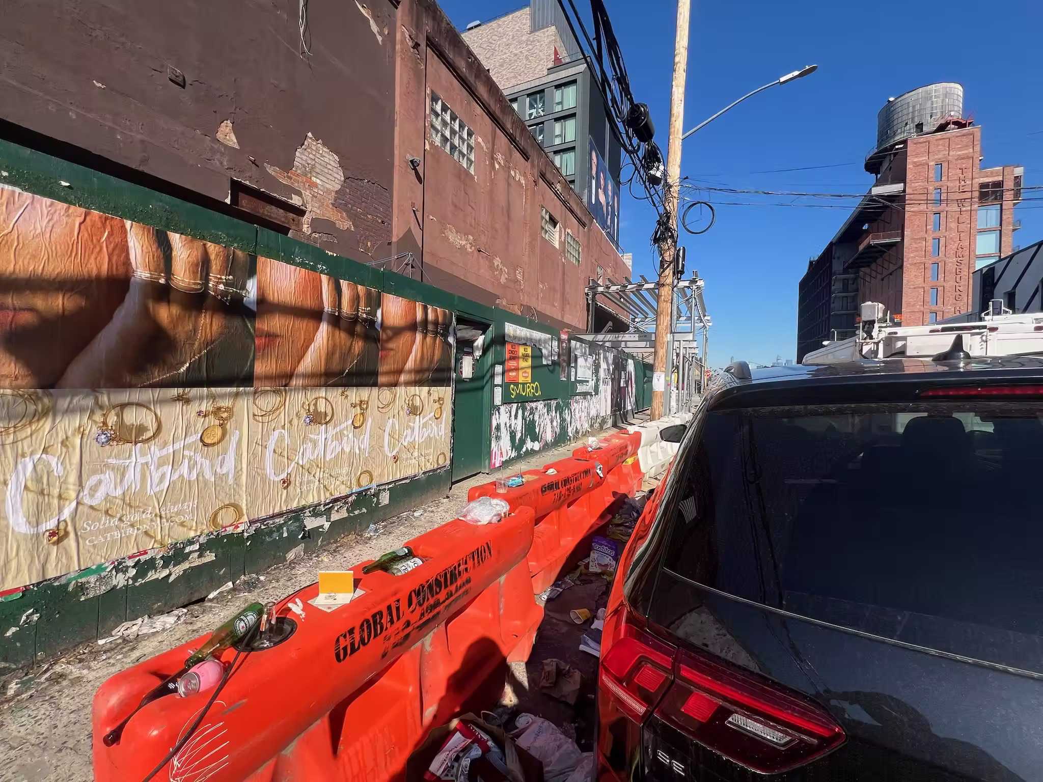 Catbird Mother's Day Week 2 wild posting at 97 N 10th St — Unit 2A