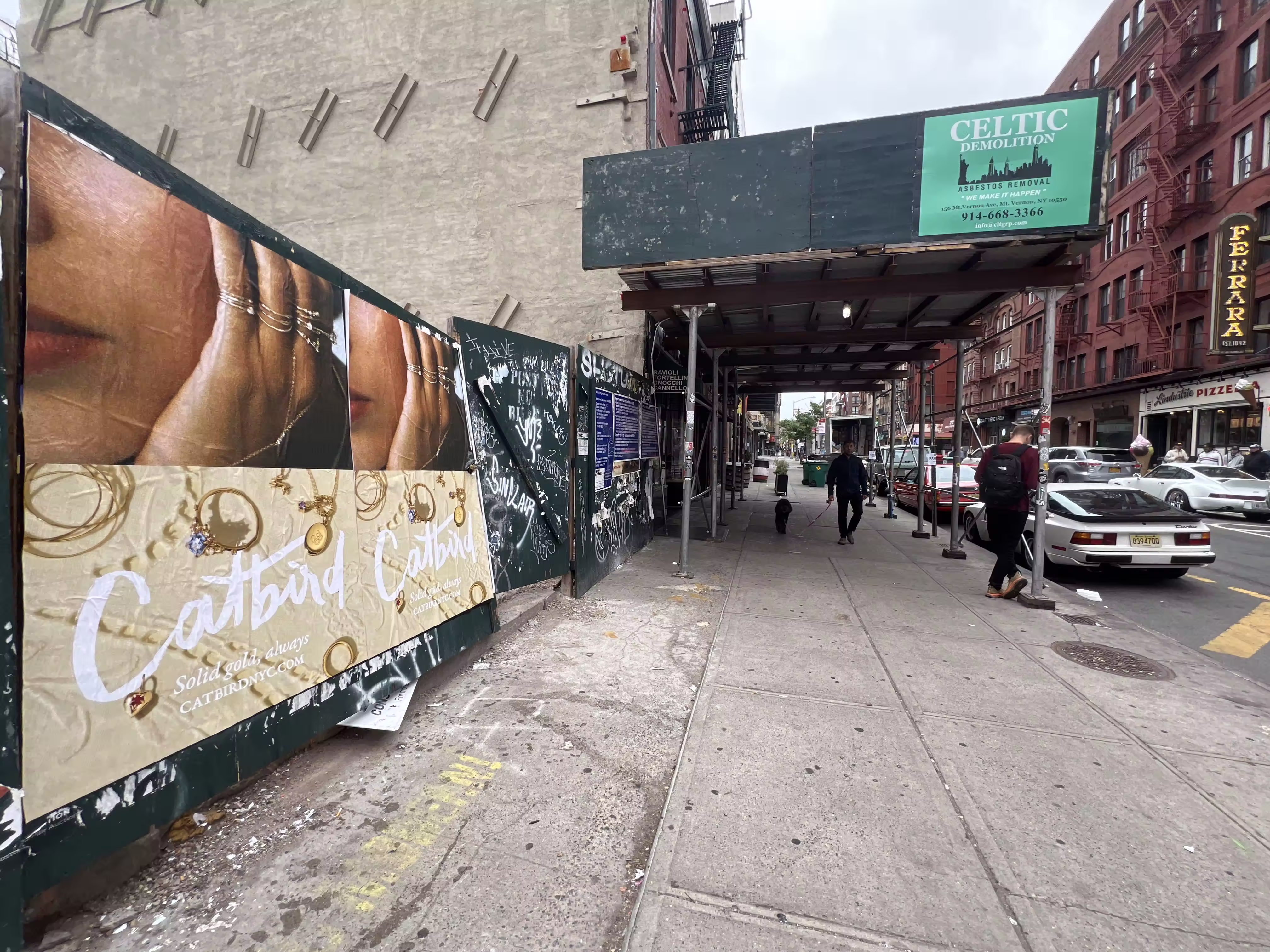 Catbird Mother's Day Week 3 wild posting at 152 Mulberry St