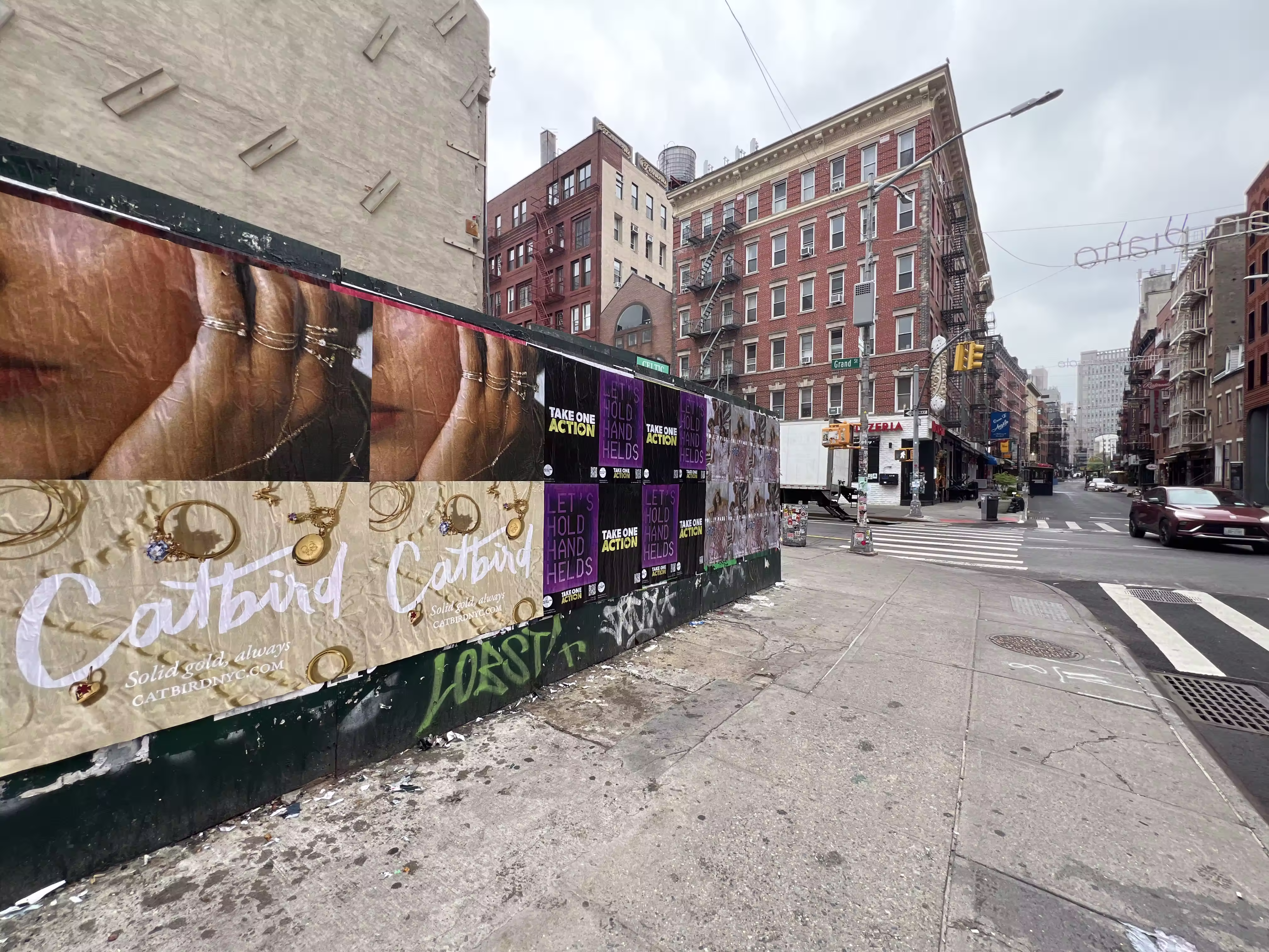 Catbird Mother's Day Week 3 wild posting at 156 Mulberry St