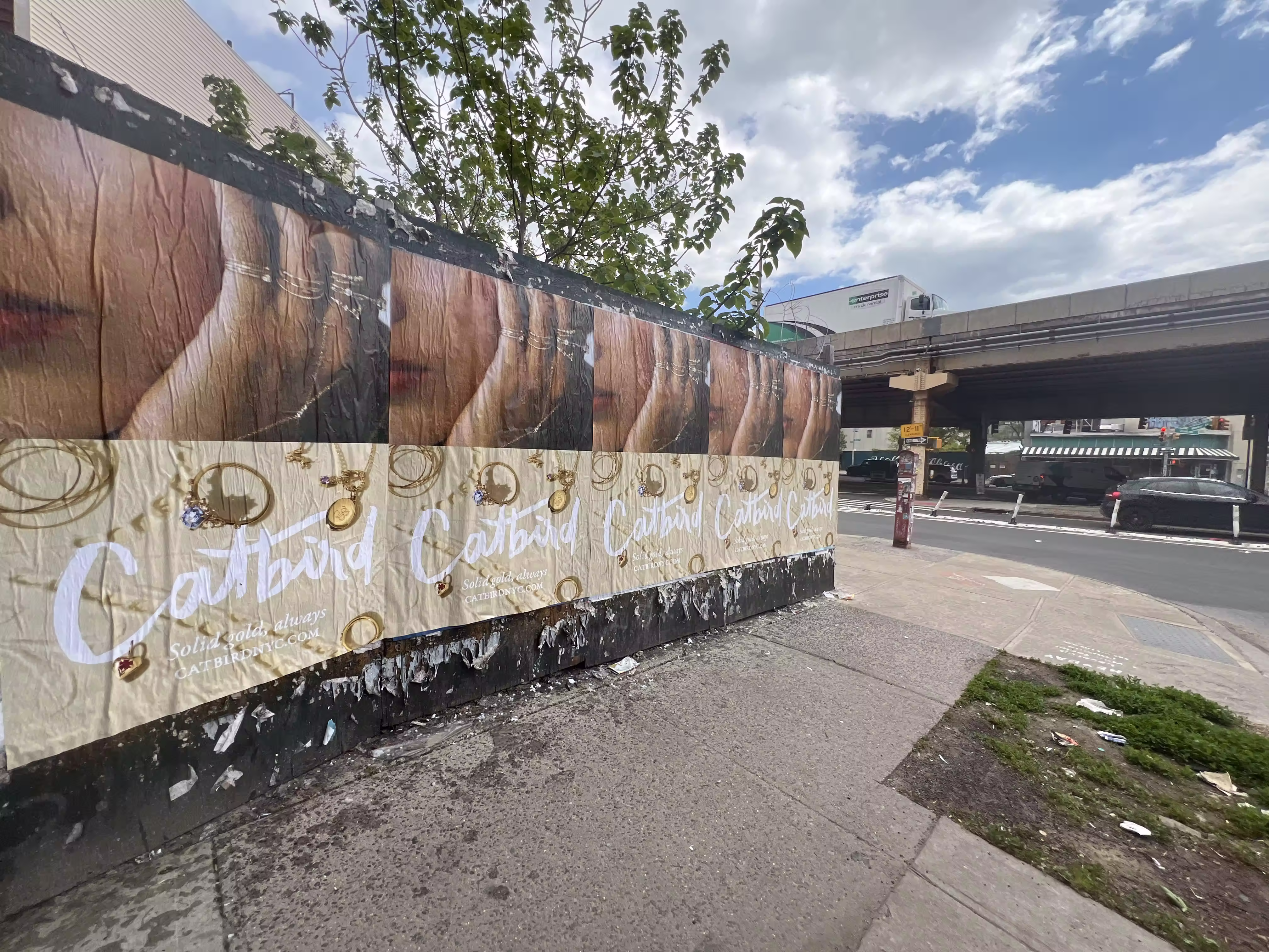 Catbird Mother's Day Week 3 wild posting at 287 N 8th St — Location 1
