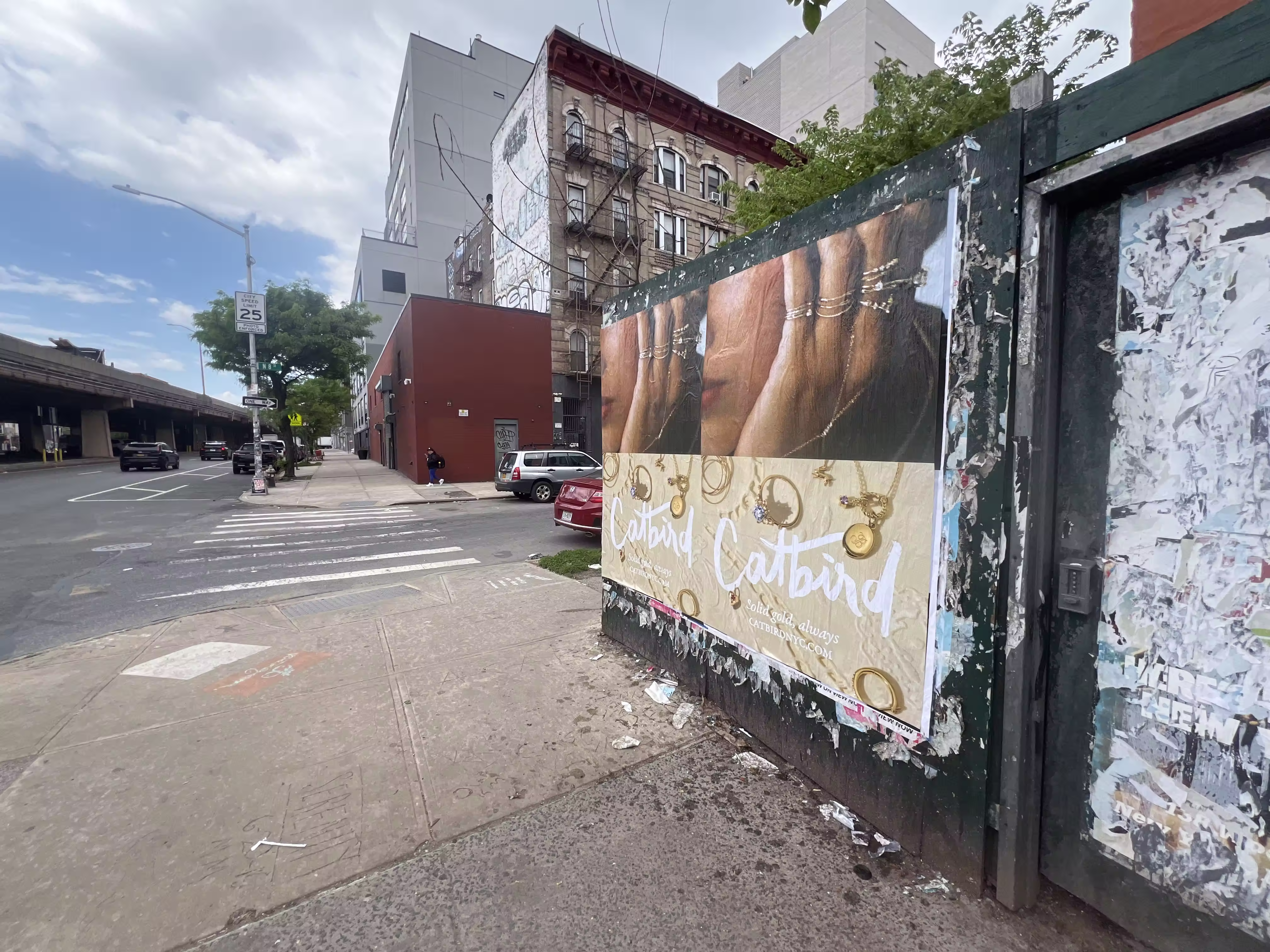 Catbird Mother's Day Week 3 wild posting at 287 N 8th St — Location 2