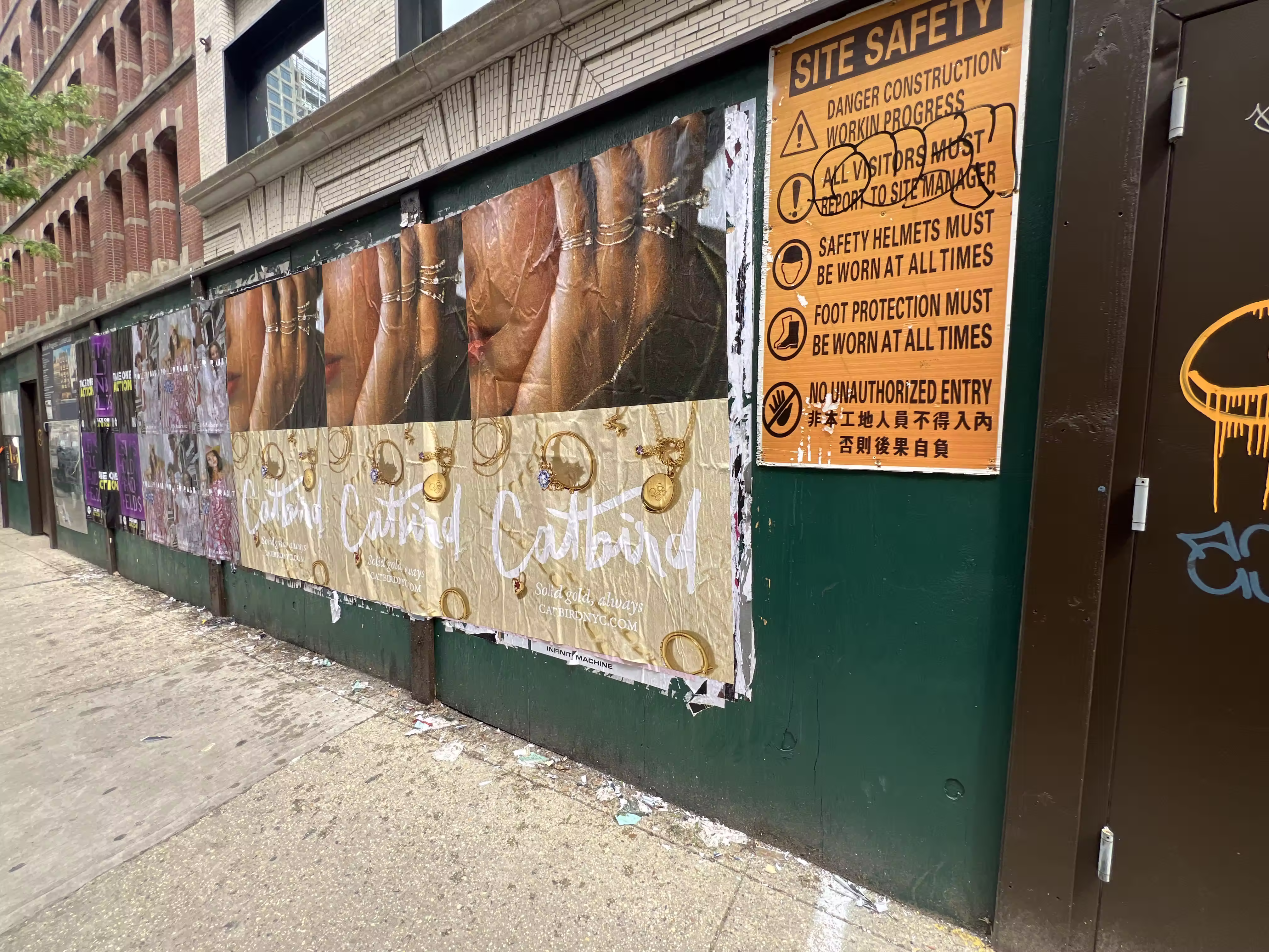 Catbird Mother's Day Week 3 wild posting at 37 Clarkson St — Location 2