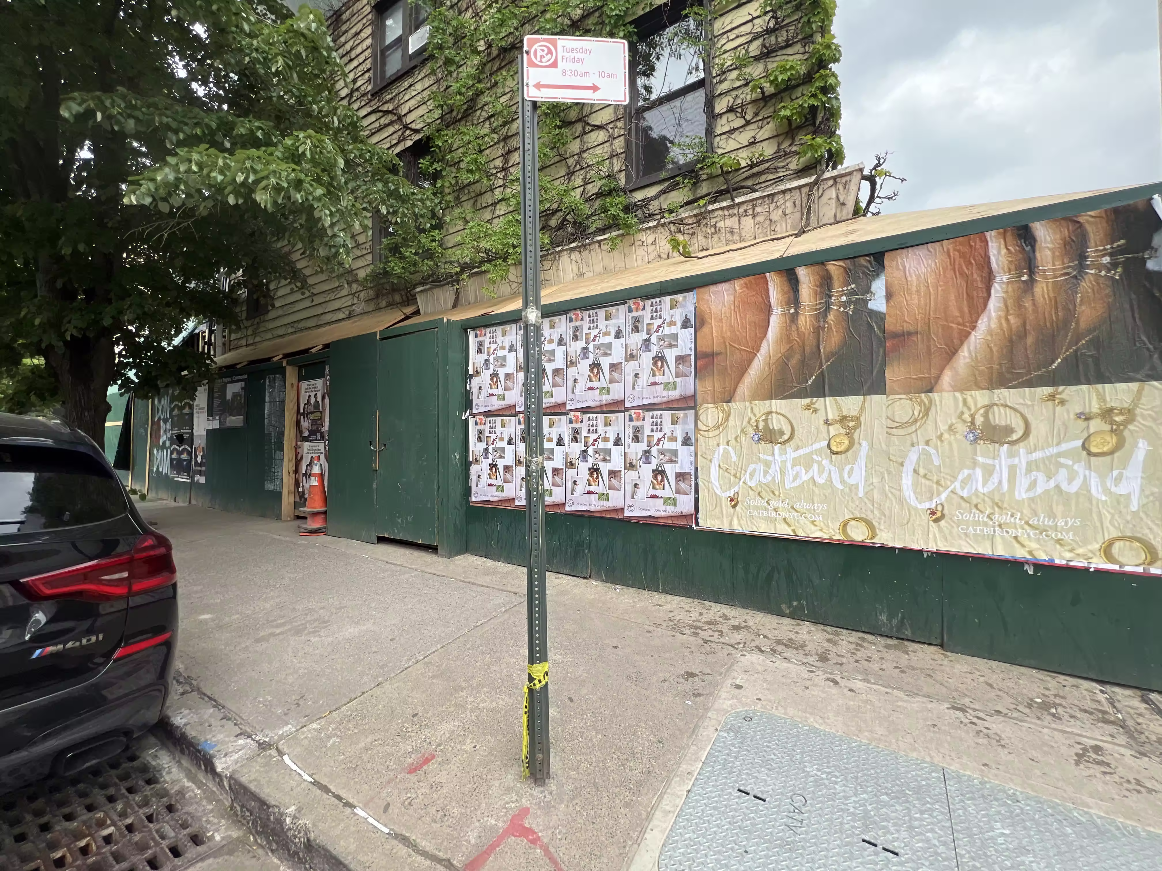 Catbird Mother's Day Week 3 wild posting at 58 S 1st St