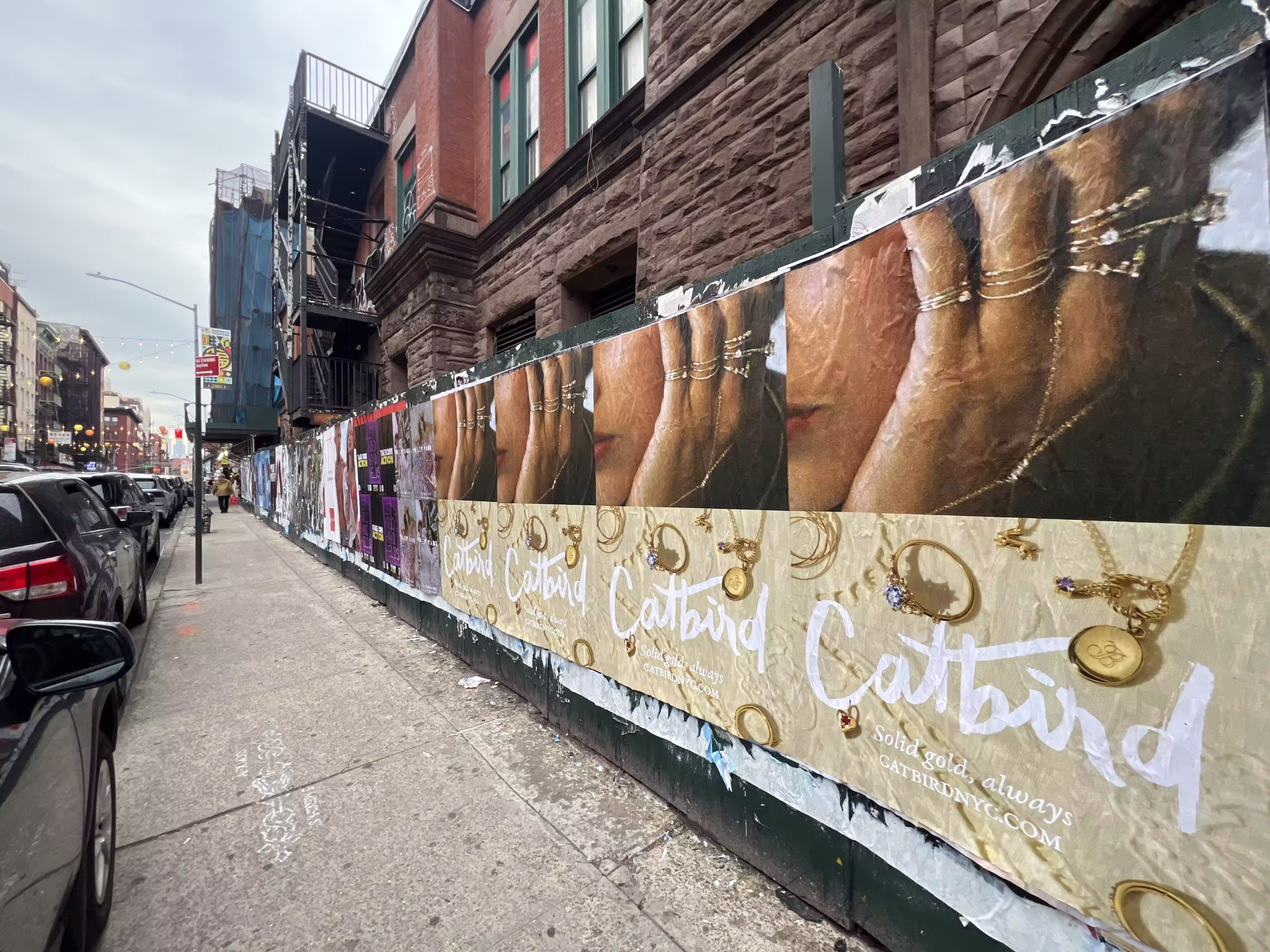 Catbird Mother's Day Week 3 wild posting at 73 Mulberry St
