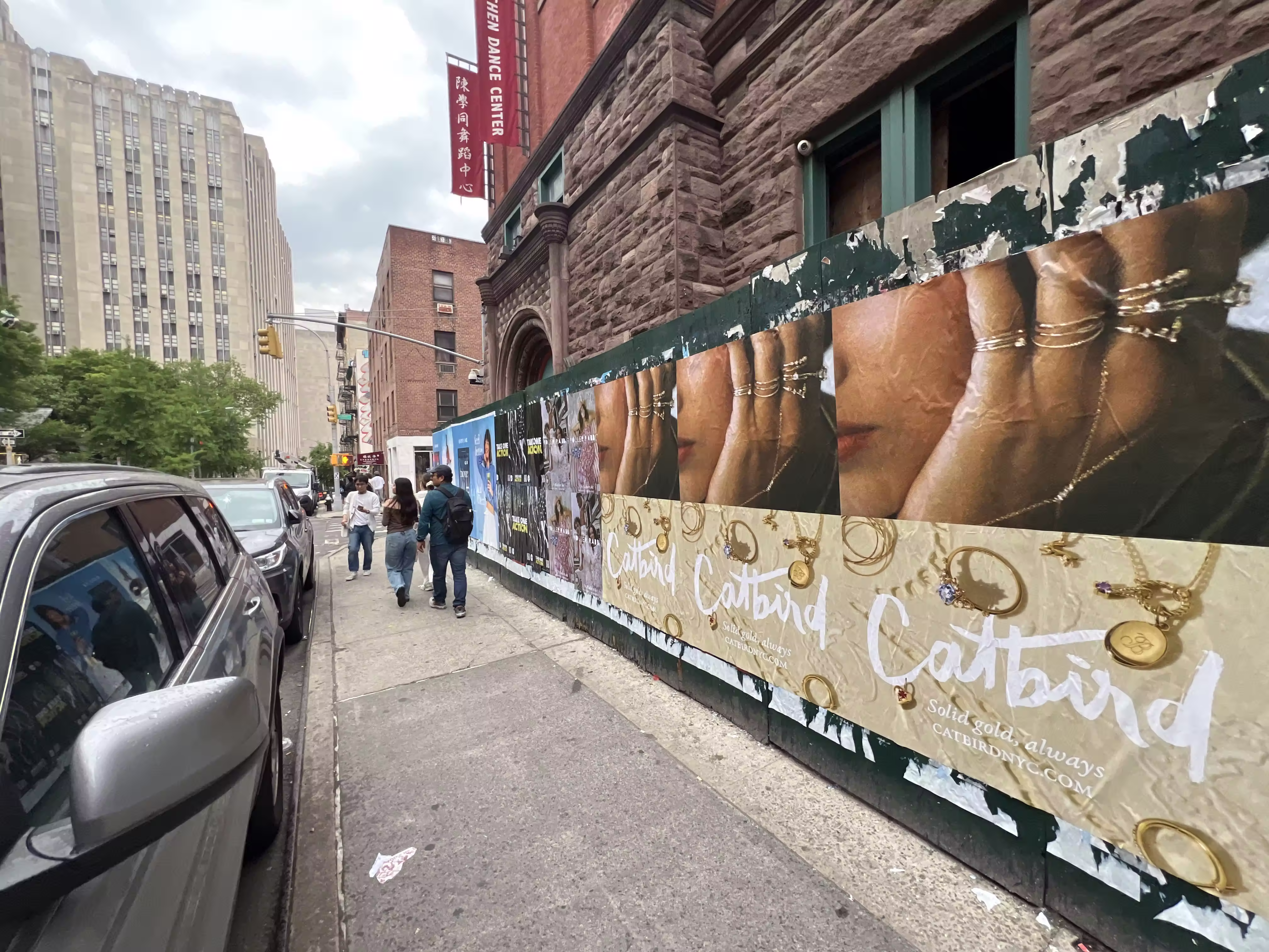 Catbird Mother's Day Week 3 wild posting at 89A Bayard St