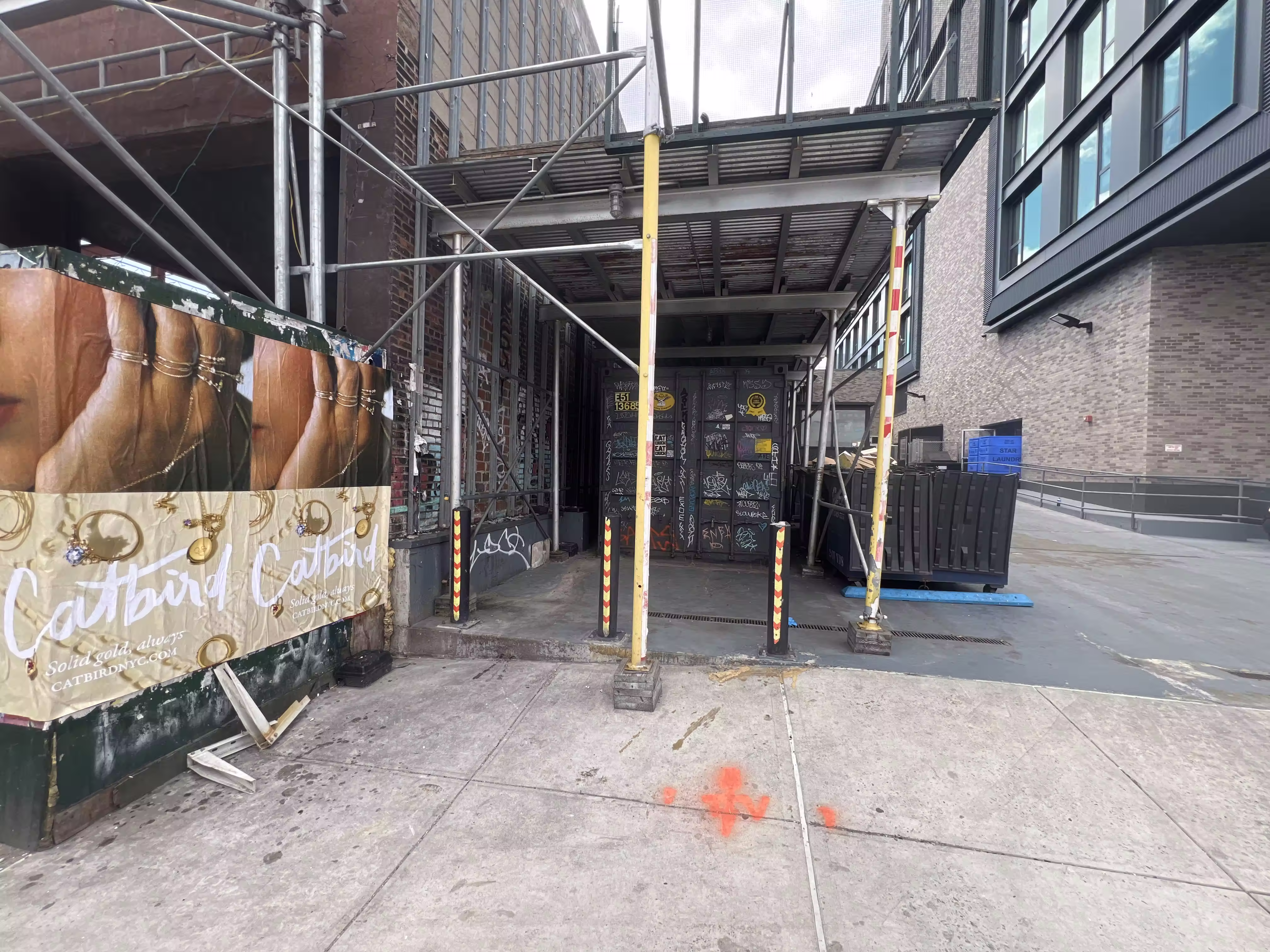 Catbird Mother's Day Week 3 wild posting at 95B N 10th St