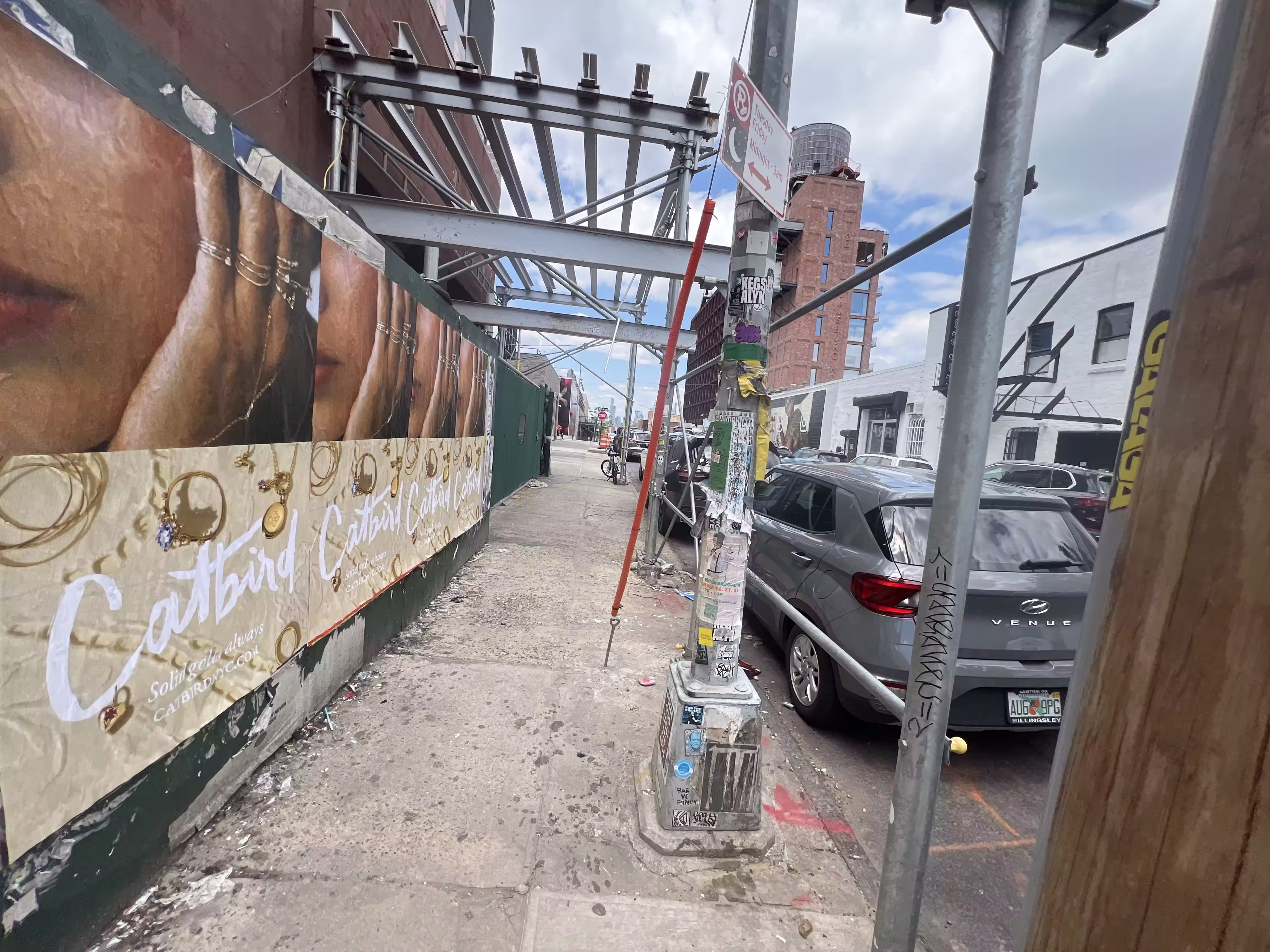 Catbird Mother's Day Week 3 wild posting at 97 N 10th St — Unit 2A