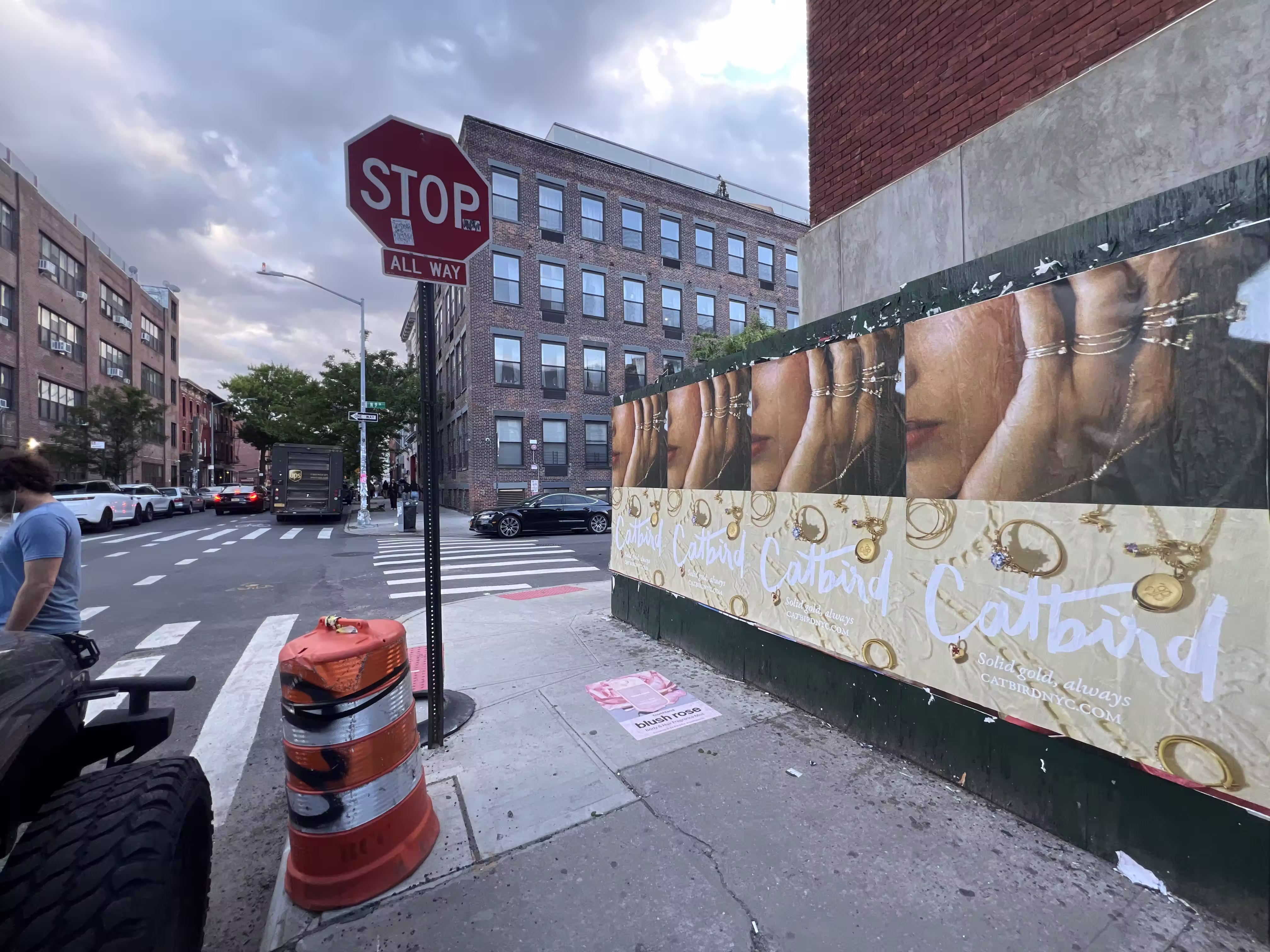 Catbird Mother's Day Week 4 wild posting at 120 Wythe Ave