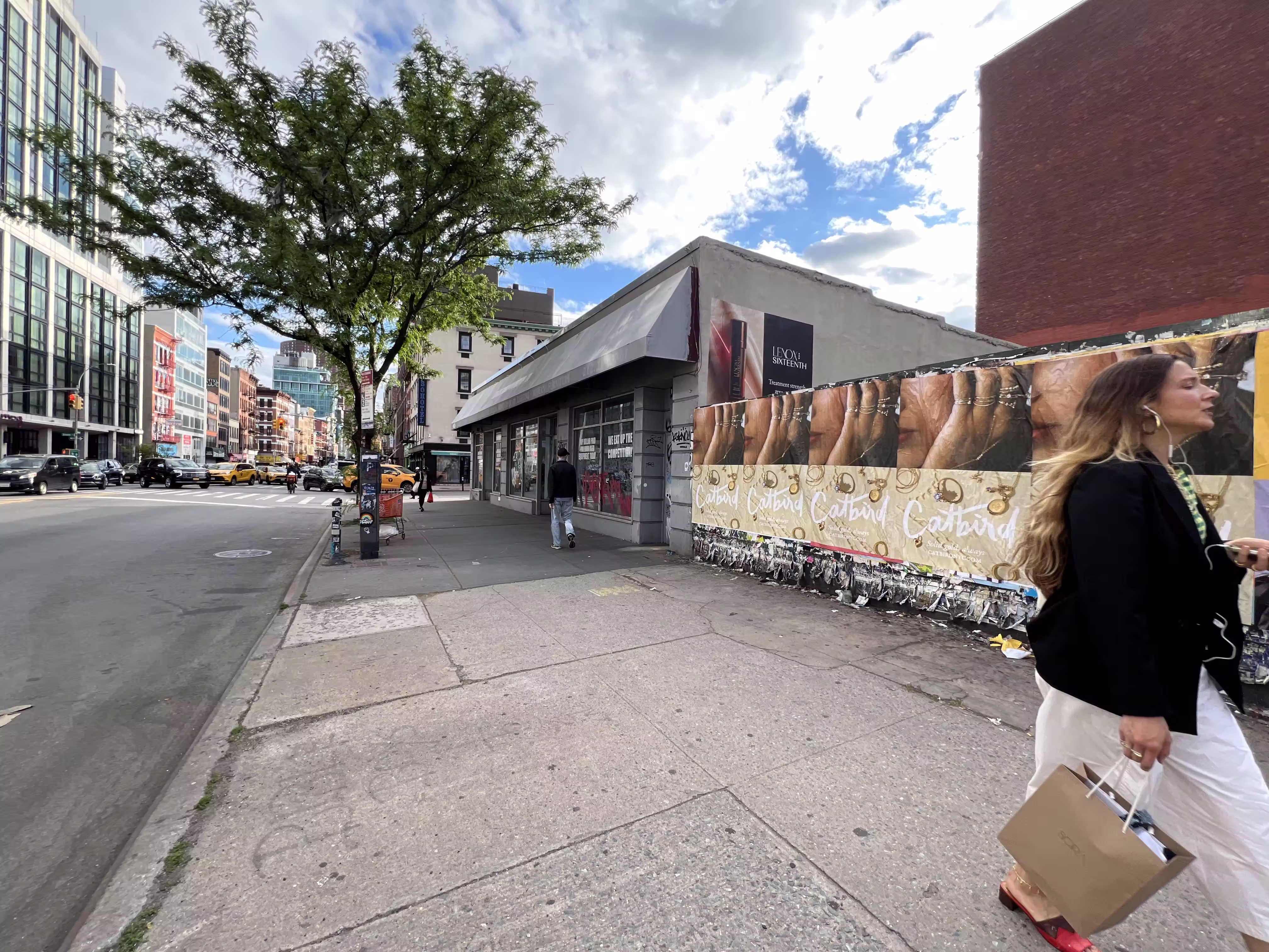 Catbird Mother's Day Week 4 wild posting at 158A Bowery