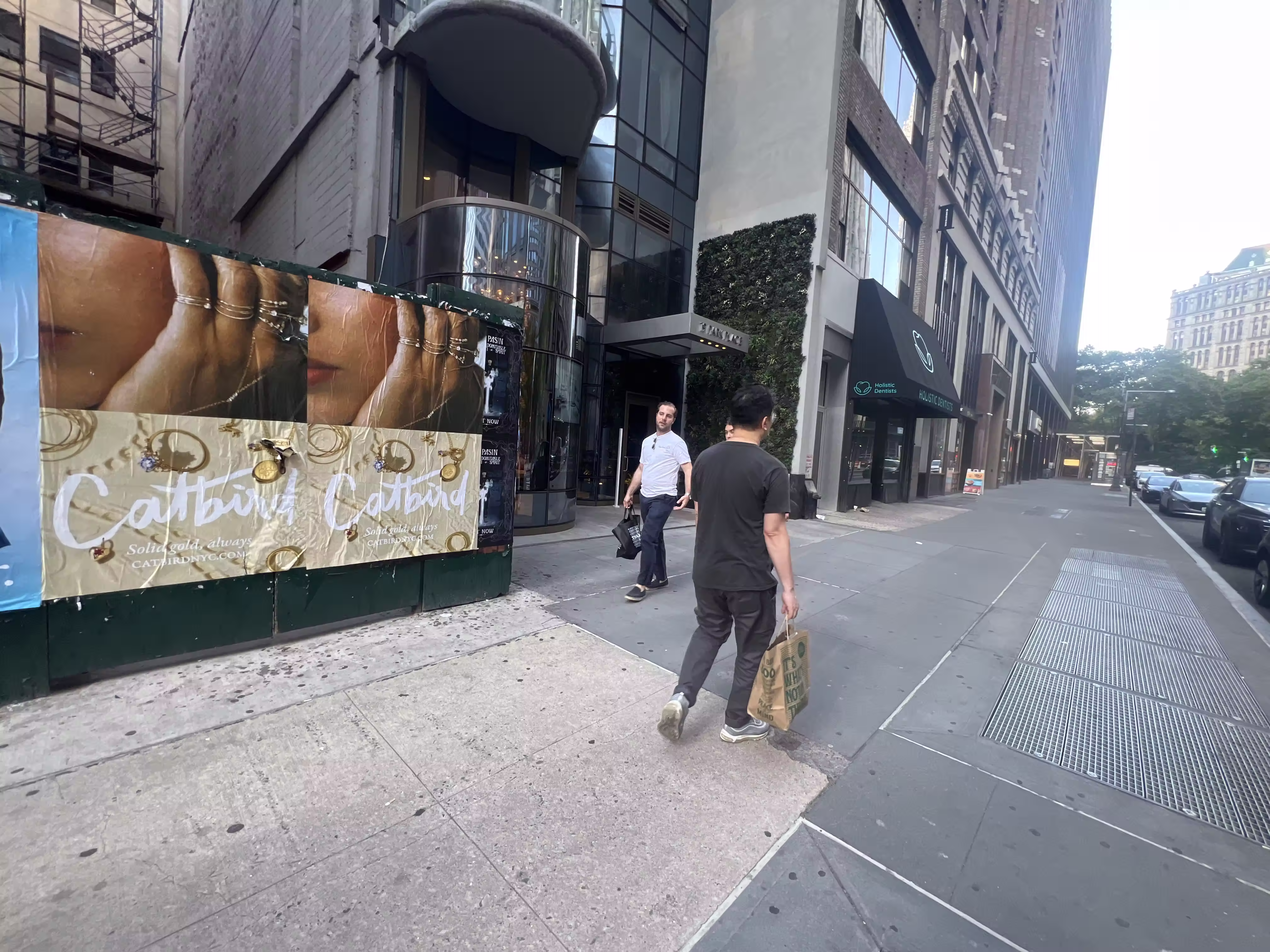 Catbird Mother's Day Week 4 wild posting at 25 Park Pl
