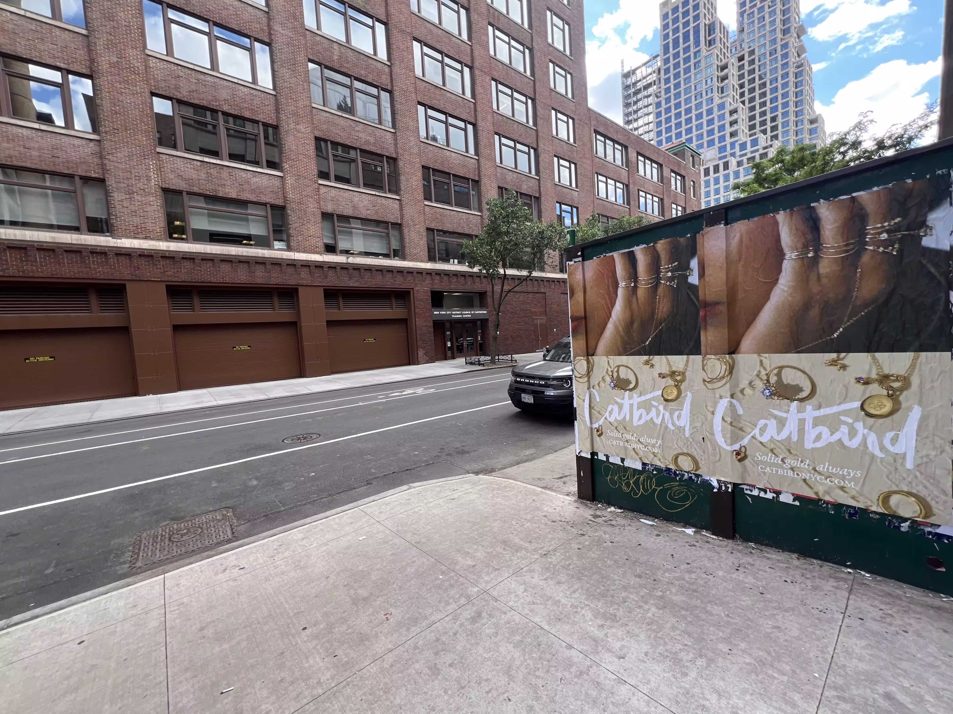 Catbird Mother's Day Week 4 wild posting at 37 Clarkson St — Location 1