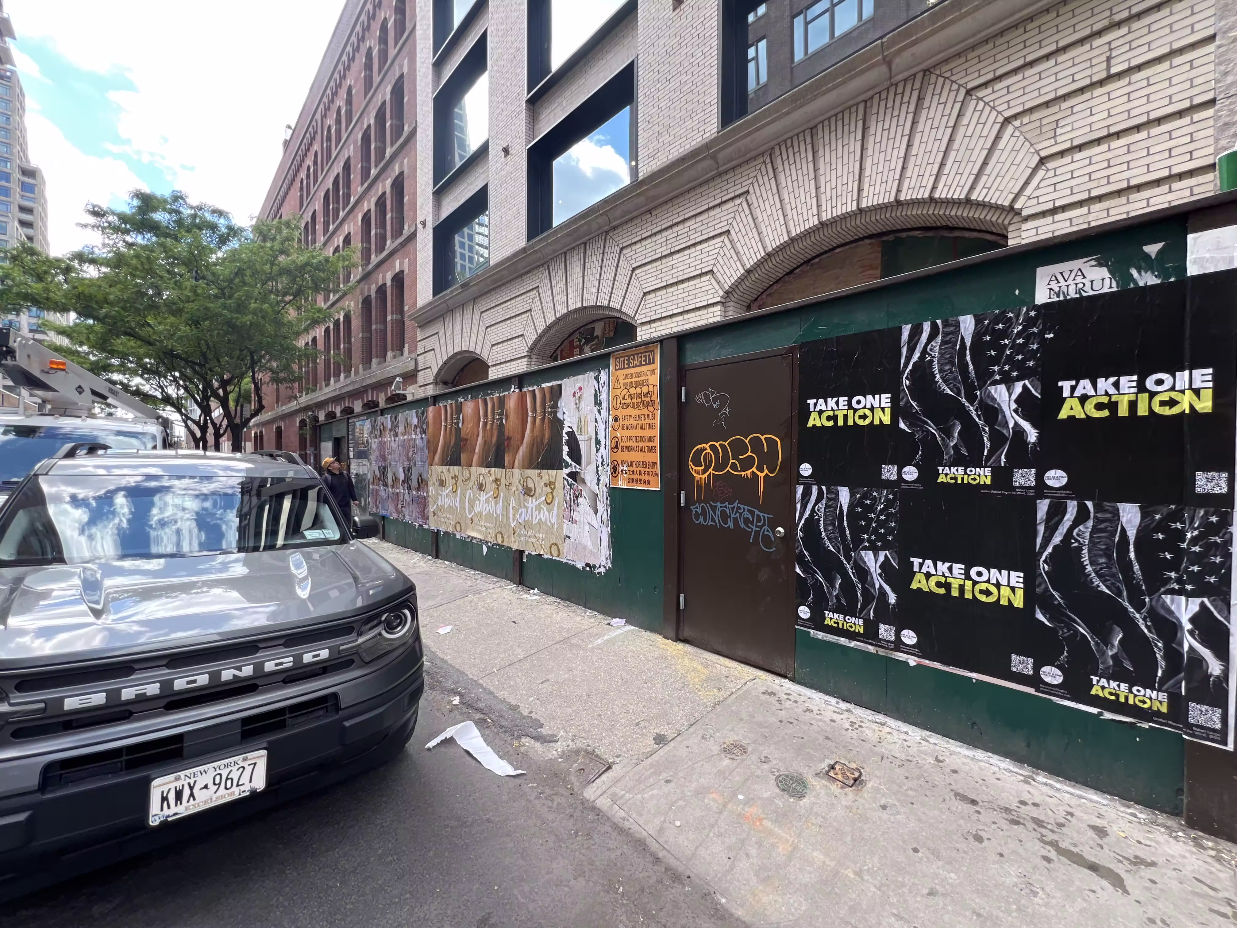 Catbird Mother's Day Week 4 wild posting at 37 Clarkson St — Location 2
