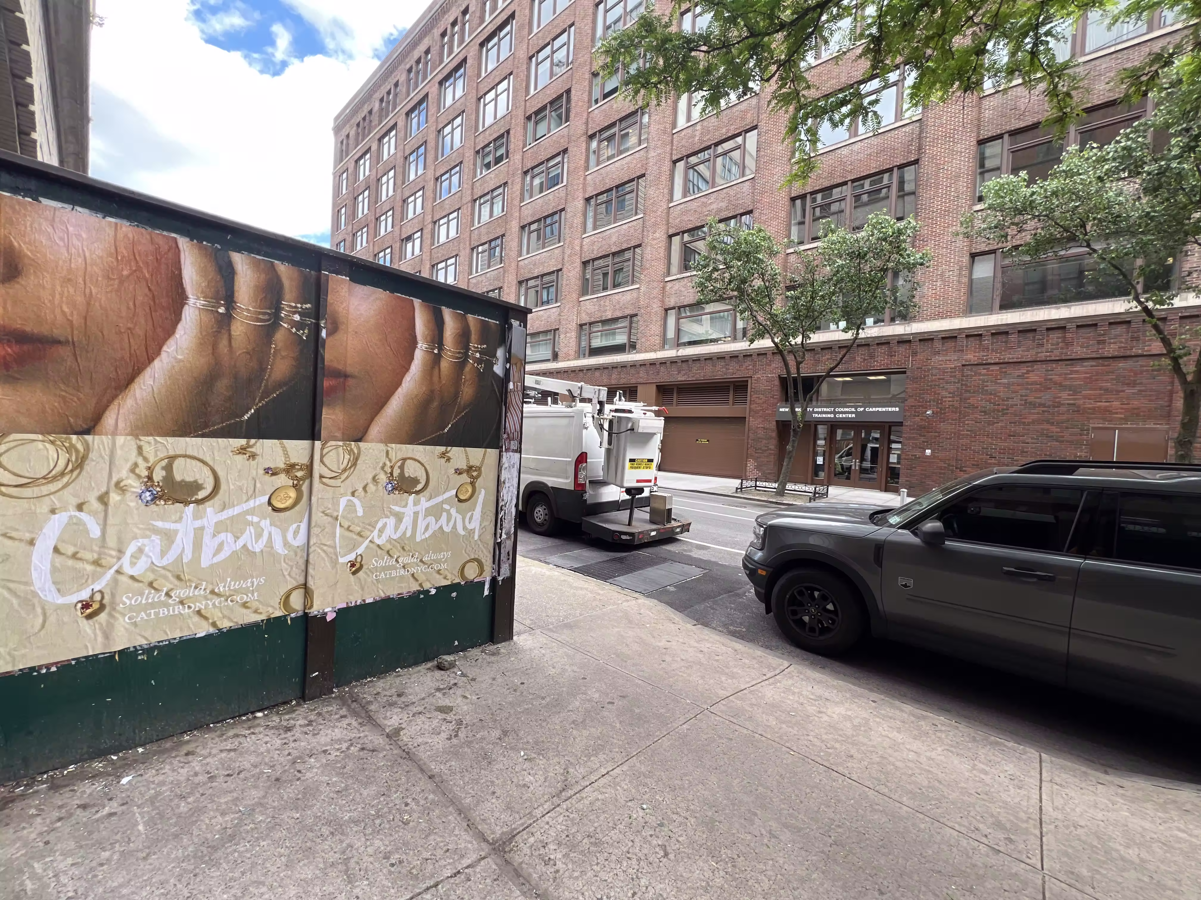 Catbird Mother's Day Week 4 wild posting at 395 Hudson St