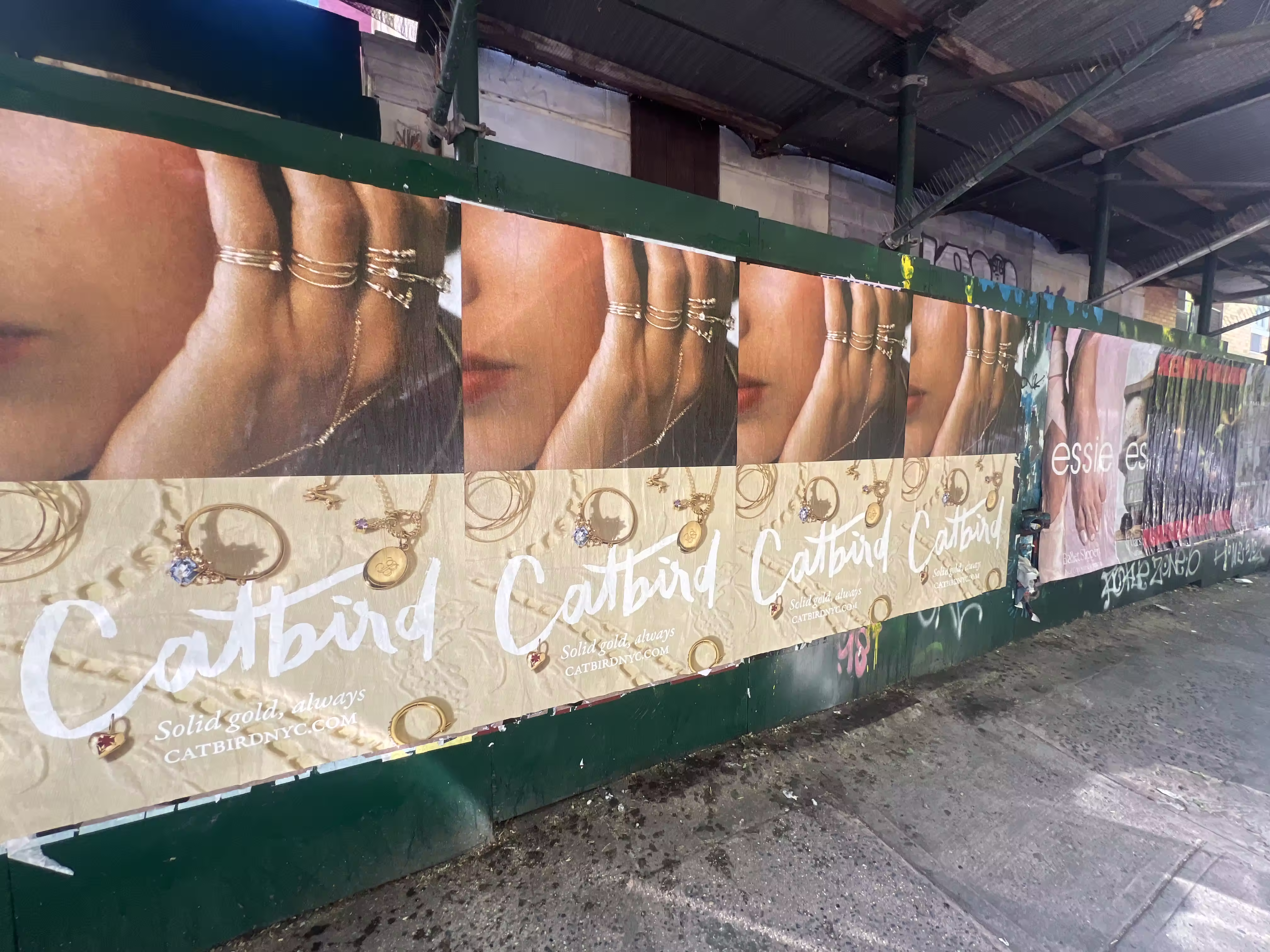Catbird Mother's Day Week 4 wild posting at 617 E 9th St — Location 1