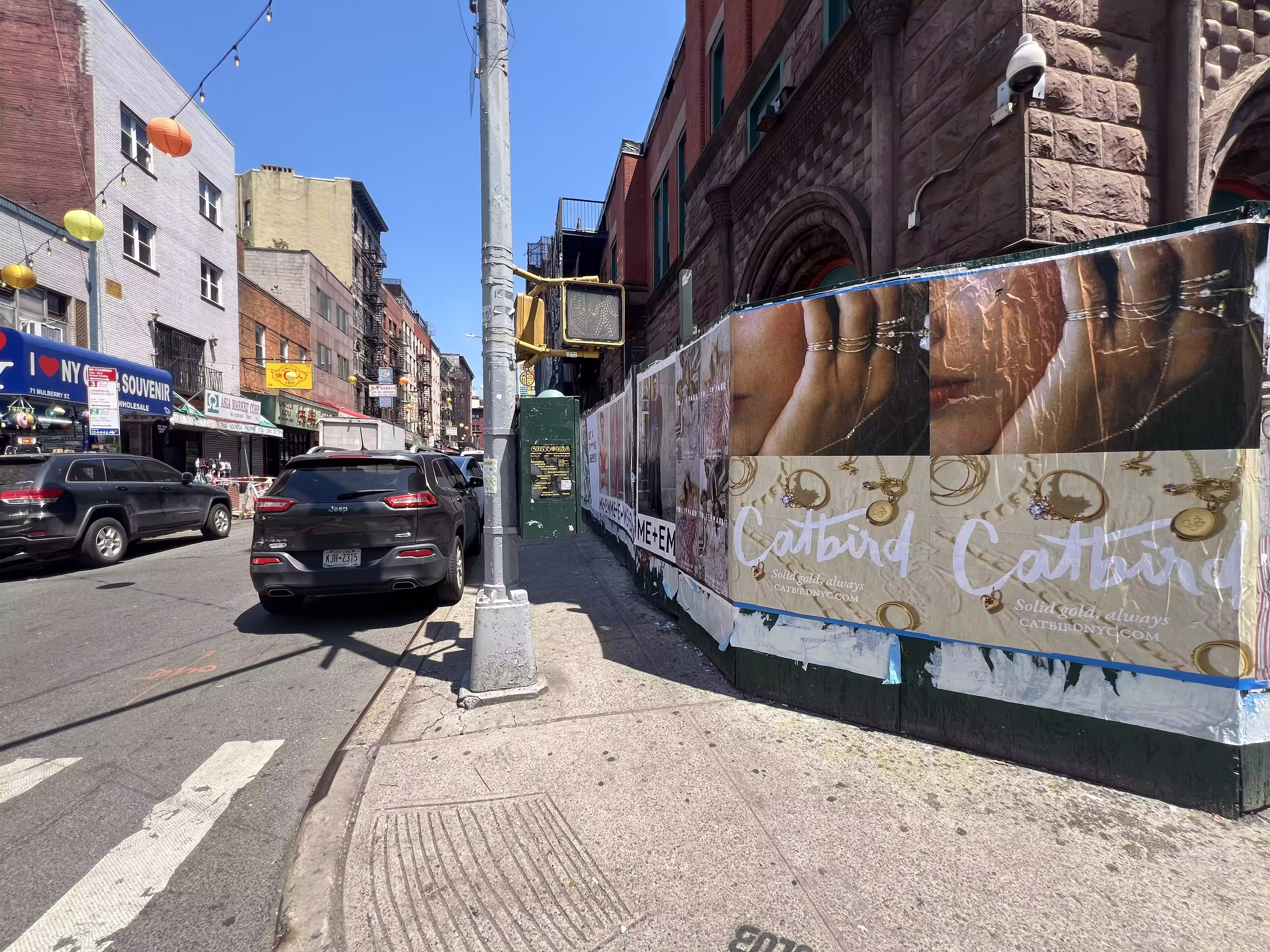 Catbird Mother's Day Week 4 wild posting at 89 Bayard St