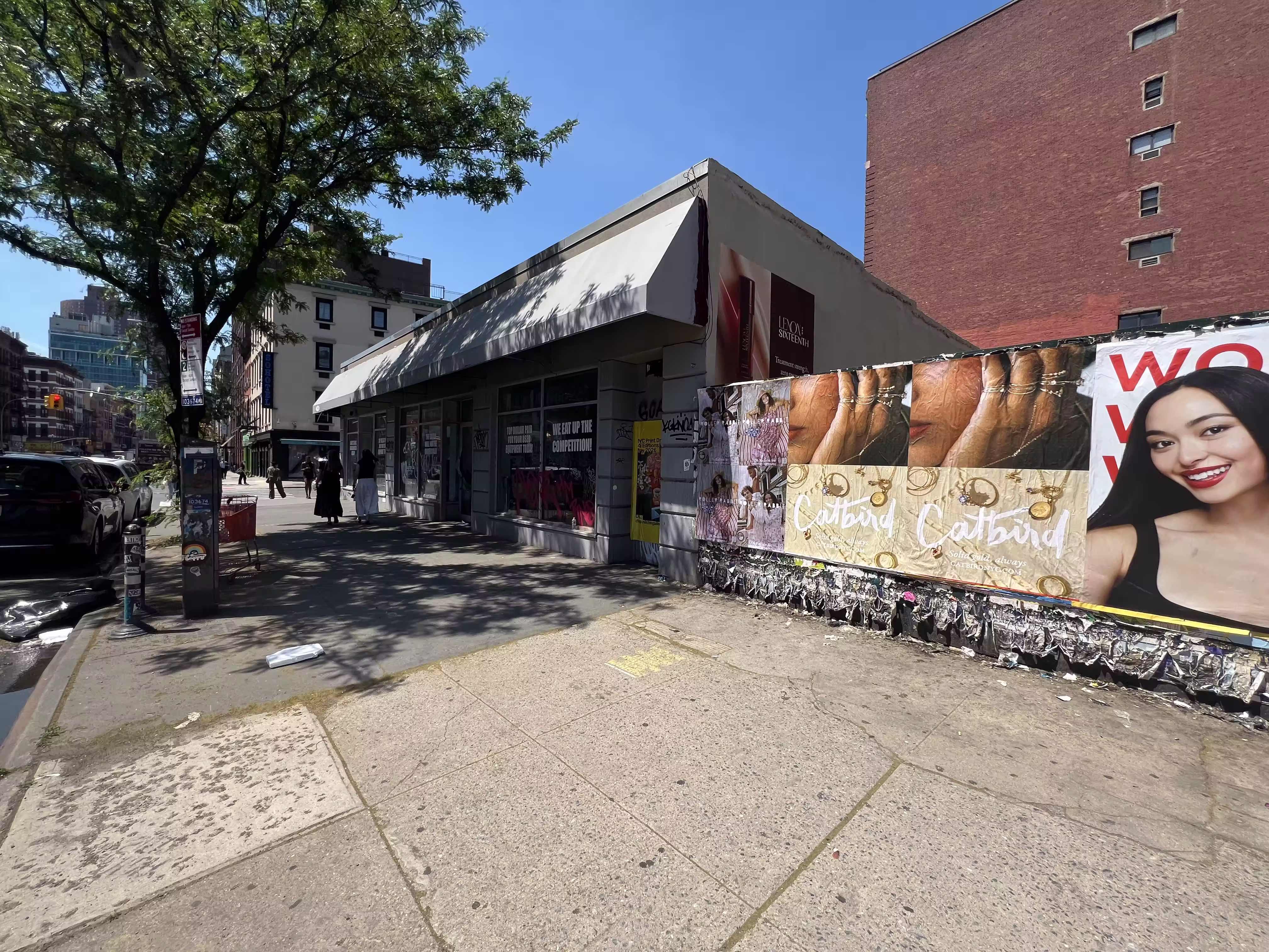 Catbird Mother's Day Week 4 wild posting at Bowery & Kenmare St